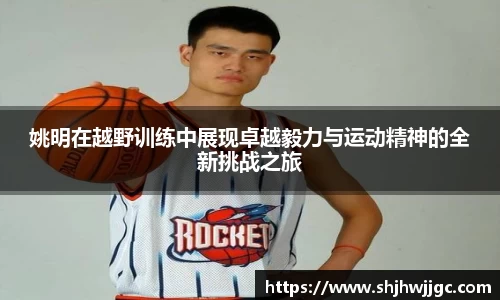 完美体育登录入口