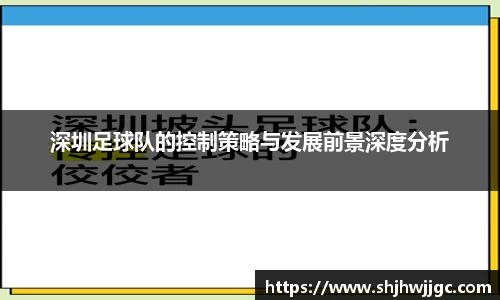 深圳足球队的控制策略与发展前景深度分析